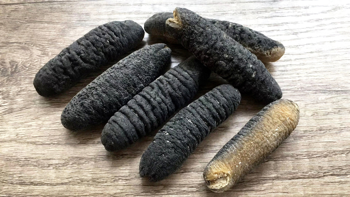 Australian Wild Sea Cucumber - Sandfish Size L-XL澳洲野生纹秃参大码加大码海參15-30头