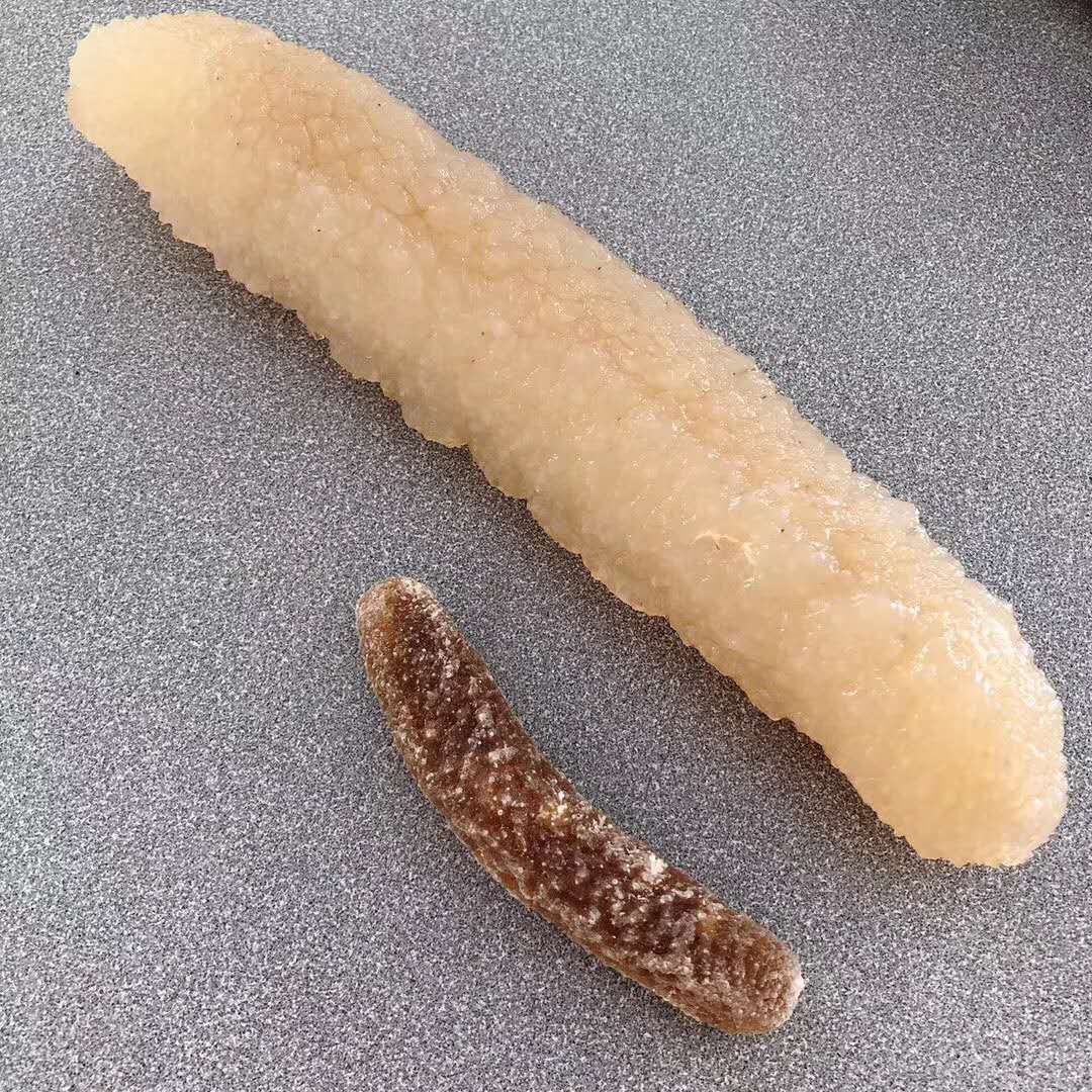 Australian Golden Sandfish Dried Sea Cucumber 精選澳洲野生金沙參 Size XL 15-19pcs/500g