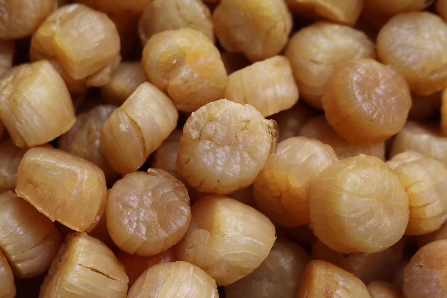 Australian Premium Grade Dried Scallops 澳洲干贝元贝瑶柱 250g