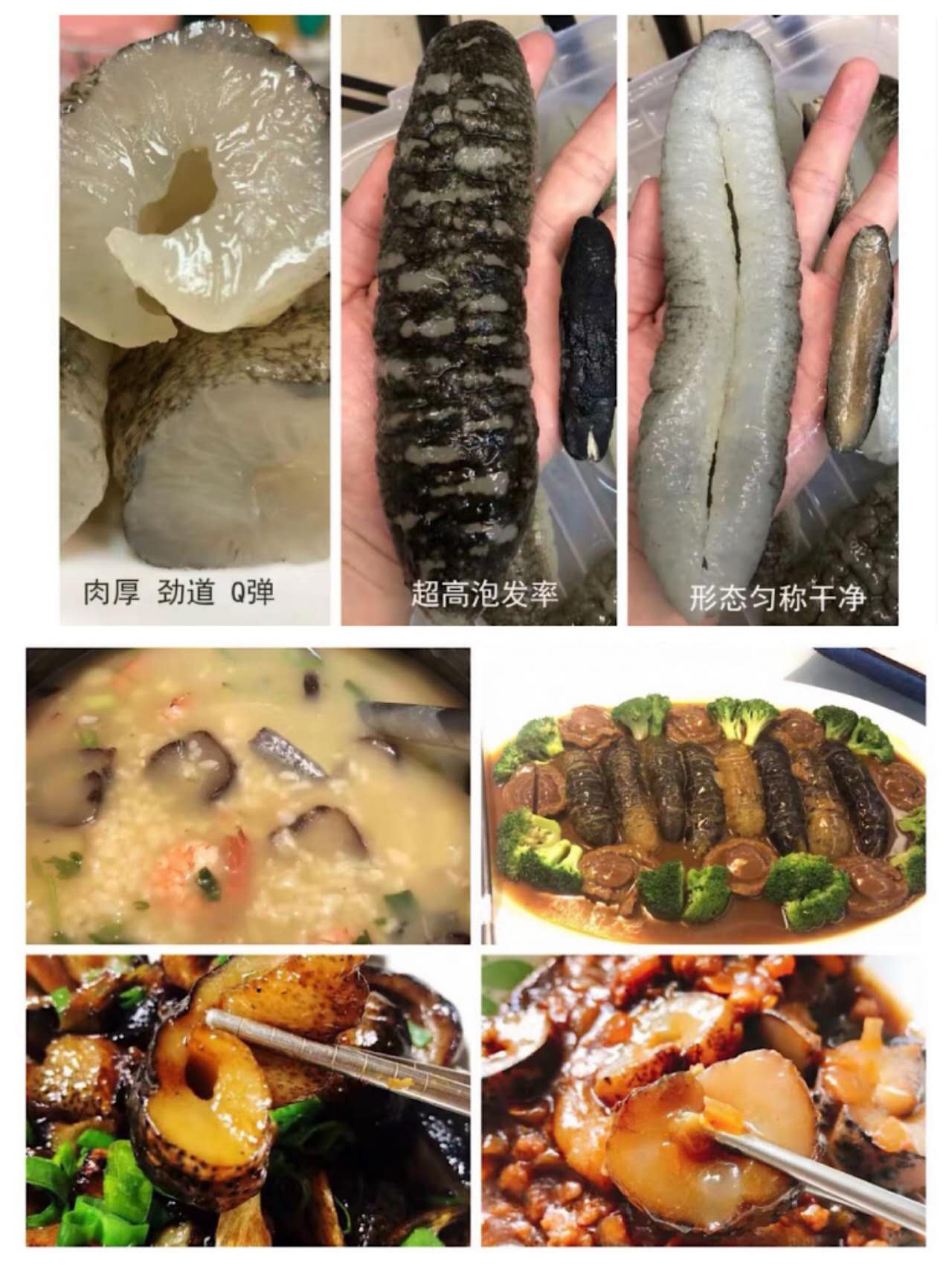 Australian Wild Sea Cucumber - Sandfish Size L-XL澳洲野生纹秃参大码加大码海參15-30头