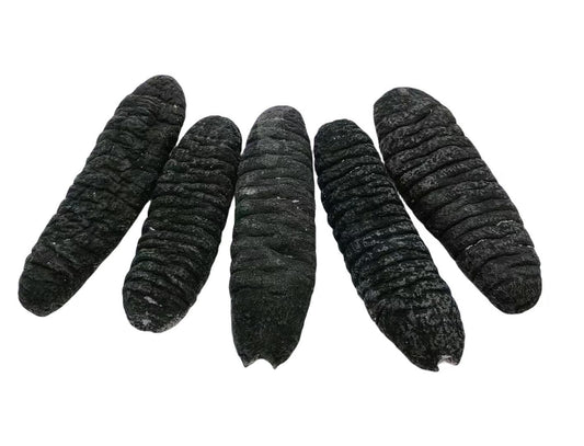 Australian Wild Sea Cucumber - Sandfish Size L-XL澳洲野生纹秃参大码加大码海參15-30头
